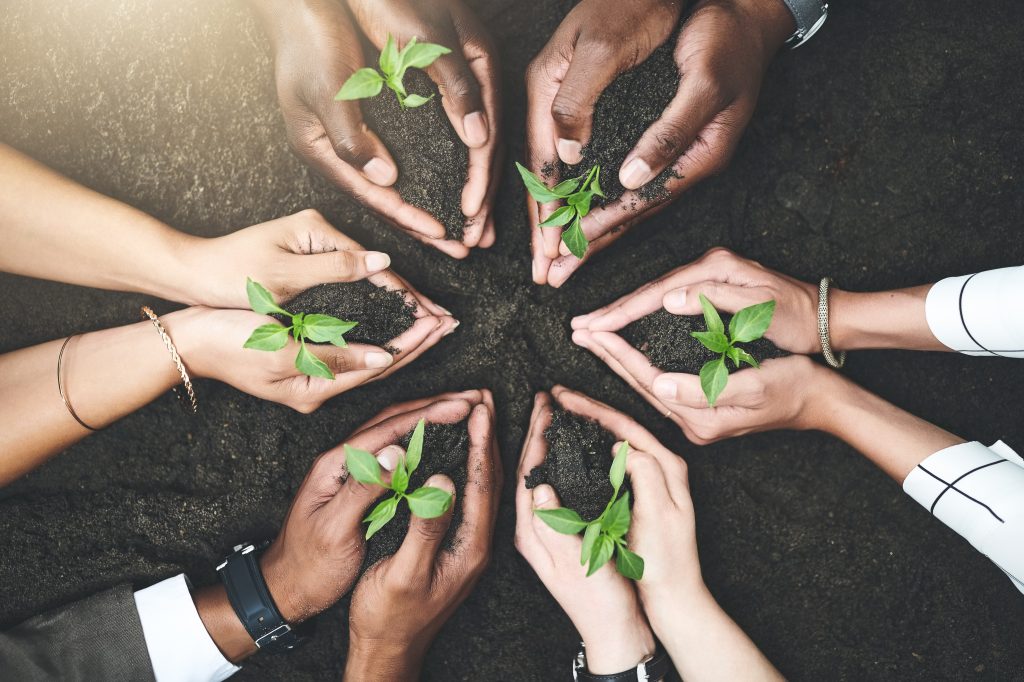 Members of a contact center plant trees together, showing their commitment to integrity-driven practices and eco-friendly customer support and service