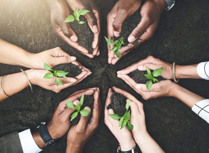 Members of a contact center plant trees together, showing their commitment to integrity-driven practices and eco-friendly customer support and service